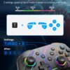 ⁦בקר אלחוטי DATA FROG עם עיצוב RGB מרהיב לקונסולת Nintendo Switch Gamepad Pro⁩ – תמונה ⁦6⁩